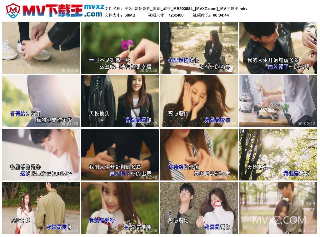 王岩-就是爱你_国语_流行_MB503884